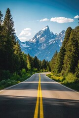 A paved road passing through dense forest with mountains in the background at Grand Teton National Park, Wyoming, USA