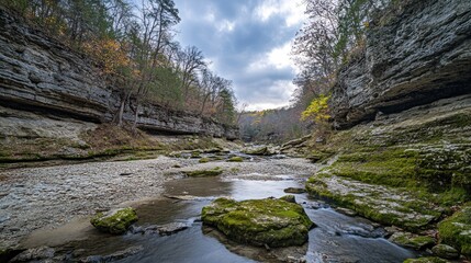 Obraz premium Serene Autumn Creek Flowing Through a Rocky Gorge