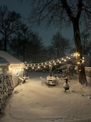winter in the park
