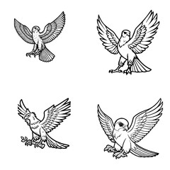 Obraz premium falcon...