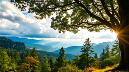 Gorgeous woodland scene, with trees in the right corner and a view of the mountains in the far left, while you gaze at the clouds and soft sunlight. An image appropriate for extensive image collection