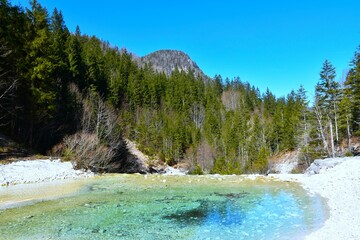 View of Krnica creek in Julian alps, Gorenjska, Slovenia with a coniferous spruce forest and a hill...