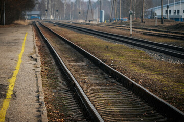 Fototapeta premium Multiple railway tracks curve through a rural landscape with signal lights glowing in the distance. The misty atmosphere and bare trees create a calm, industrial scene.