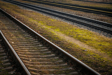 Fototapeta premium Multiple railway tracks curve through a rural landscape with signal lights glowing in the distance. The misty atmosphere and bare trees create a calm, industrial scene.