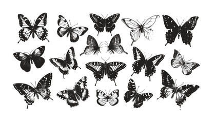 Various butterflies vector, spring elements, grunge texture, summer aesthetic, Y2K style, stippling grain effect, trendy design, ideal for poster, t-shirt, tee print