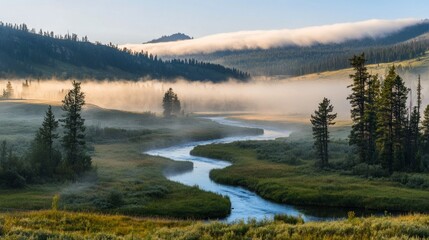 Fototapeta premium Serene River Flowing Through Misty Valley at Sunrise in Nature