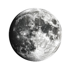 Naklejka premium Detailed Moon Surface Cratered Landscape Celestial Body Space Exploration,