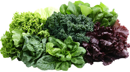Vibrant Green and Red Leafy Greens Salad Vegetables Food Photography