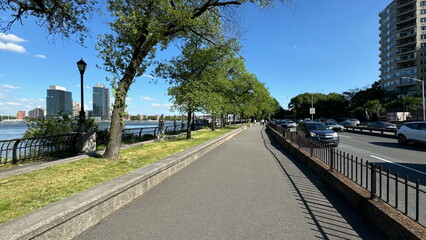 Vibrant NYC street scene during the day—bustling energy, iconic architecture, and the dynamic pulse of the city in every shot.