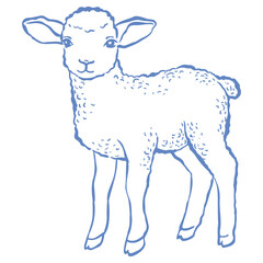Line Art Cute Lamb. Vector Illustration.
