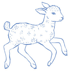 Line Art Cute Lamb. Vector Illustration.
