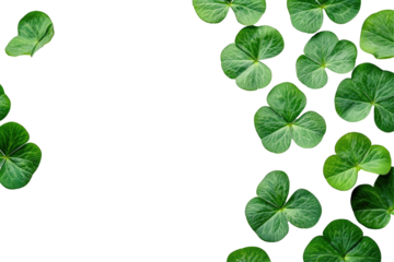 Fresh Clover Leaves Falling Against Transparent Background