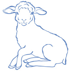 Line Art Cute Lamb. Vector Illustration.