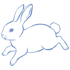 Cute Line Art Bunny. Vector Illustration.