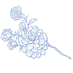 Line Art Blue Flower. Vector Illustration.
