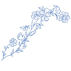 Line Art Blue Flower. Vector Illustration.