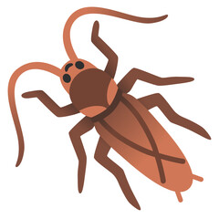 Cockroach
