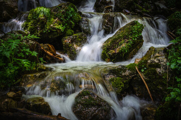 small waterfall in the forest