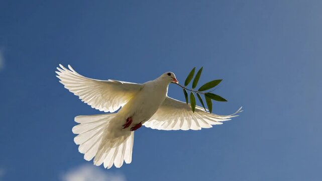 A white dove with fully extended wings soars against a bright blue sky with scattered clouds, carrying an olive branch in its beak, symbolizing peace and hope
