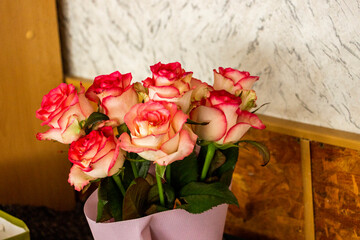 bouquet of cream-pink roses, delicate, petals, blooming, buds, flora, gift, holiday, birthday, March 8, congratulations