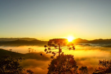 Amanhecer no interior