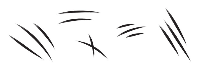 Animal Claw scratches icon. Claws silhouette, vector. Animal claw scratches collection. Talons cuts animal cat, dog, tiger, lion set icons. Vector illustration.