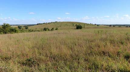 Obraz premium Rolling hills prairie landscape, summer day, clear sky, tallgrass prairie background, nature photography