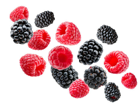 fallende himbeeren und brombeeren isoliert auf wei&szlig;en Hintergrund, Freistelle