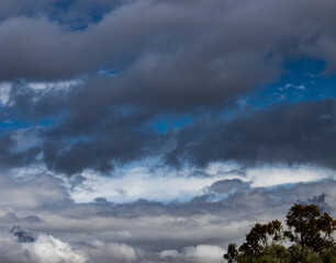 storm clouds over the forest