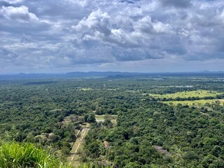view of the jungle ancient tropical park from above on a sunny day summer vacation atmosphere sightseeing trips