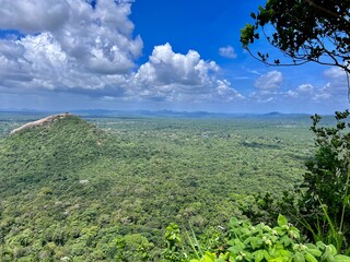 Obraz premium view of the jungle ancient tropical park from above on a sunny day summer vacation atmosphere sightseeing trips
