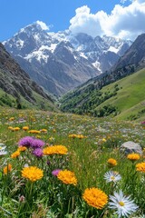 Mountain Flowers. Colorful flowers bloom in meadow. Snowy mountain peaks rise above the valley. Sunny day. Natural landscape.