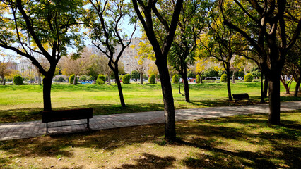In the Mediterranean region, which experiences hot summers, having benches under the shade of trees in parks is as essential as it is an aesthetic architectural practice.