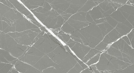 Grey Marble with White Veining Texture
