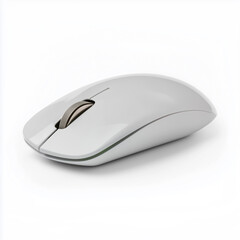 Computer mouse isolated on white background

