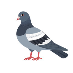 2D flat vector illustration Pigeon icon isolated on a white background.

