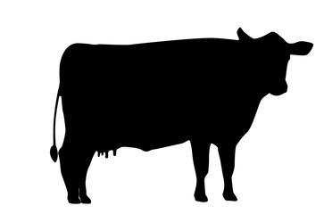 Farm cow silhouette