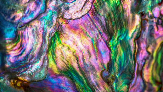 High magnification macro of nature texture pearl shell. Rainbow colors abstract background close-up.