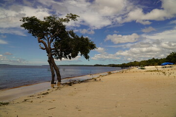 The Rio Negro river with Praia Lua beach near Manaus, Amazonas state, Brazil. The river here has...