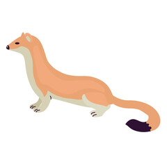 Ermine icon clipart avatar logotype isolated illustration