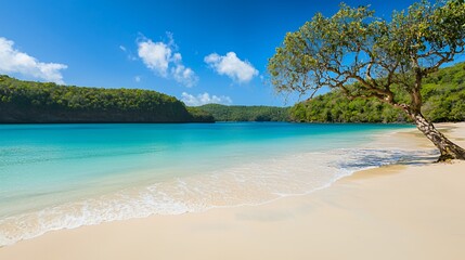 Fototapeta premium Tropical Beach Scene With Turquoise Water And Lush Green Foliage