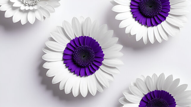 Cardos borriqueros de color blanco y morado sobre fondo blanco