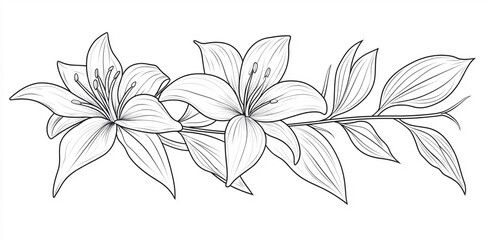 Soft and Artistic Floral Composition in Fine Lines
