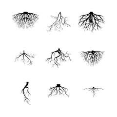 Tree roots silhouettes set. Wood growth, plant system, eco pattern, natural organic