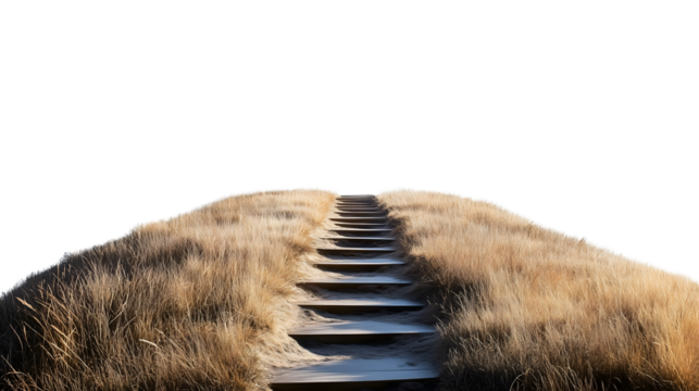 wooden stairs leading up through grassy hill isolated png transparent cutout