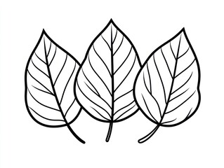 Three leaves, line art, white background, nature illustration, educational use