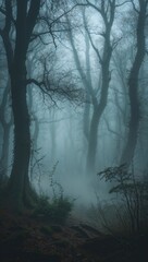 A misty forest landscape with tall, bare trees and a mysterious atmosphere.