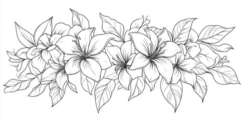 Beautiful Floral and Leaf Outline on Transparent Background
