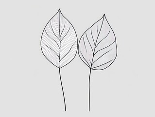 Two delicate leaves, minimalist drawing, grey background, botanical illustration, website design
