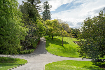 botanical garden path in springtime in australia